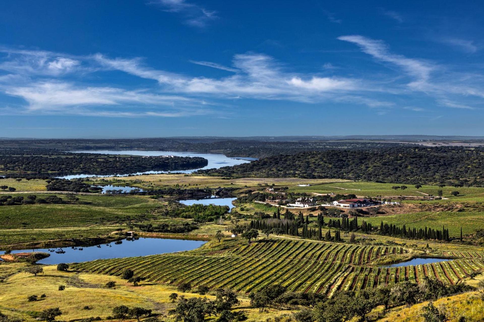 Pedrogao  Herdade Do Sobroso Wine & Luxury Boutique Hotel מראה חיצוני תמונה