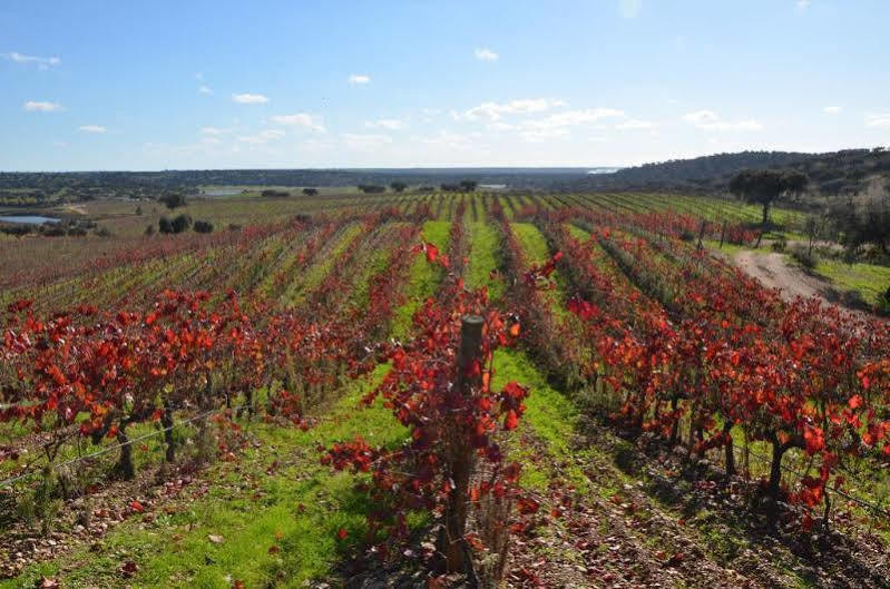 Pedrogao  Herdade Do Sobroso Wine & Luxury Boutique Hotel מראה חיצוני תמונה